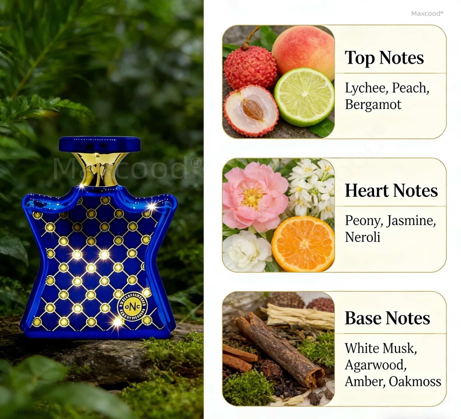 Parfum Jeruk dan Bunga Wangi T - Eau De Parfum Women ulasan dan harga